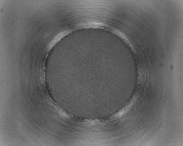 X0000062630978200512211224