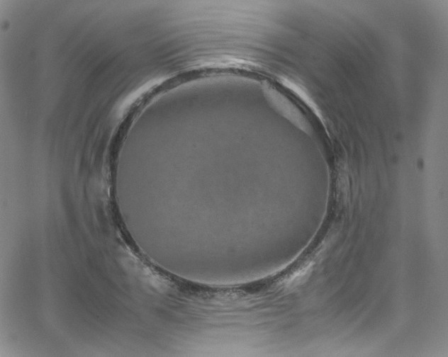 X0000062630979200512211224