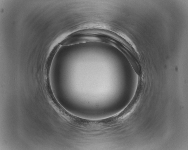 X0000062630981200512211224