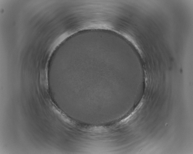 X0000062630982200512211224