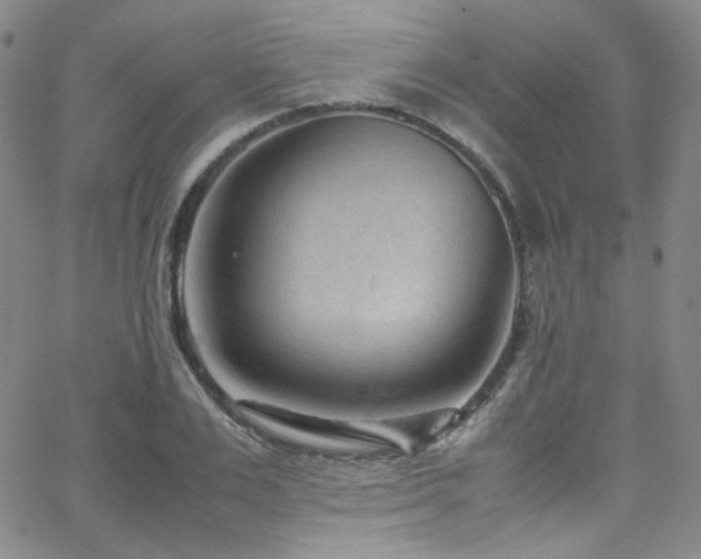 X0000062630983200512211224