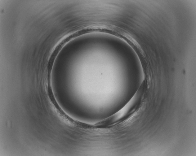 X0000062630984200512211224