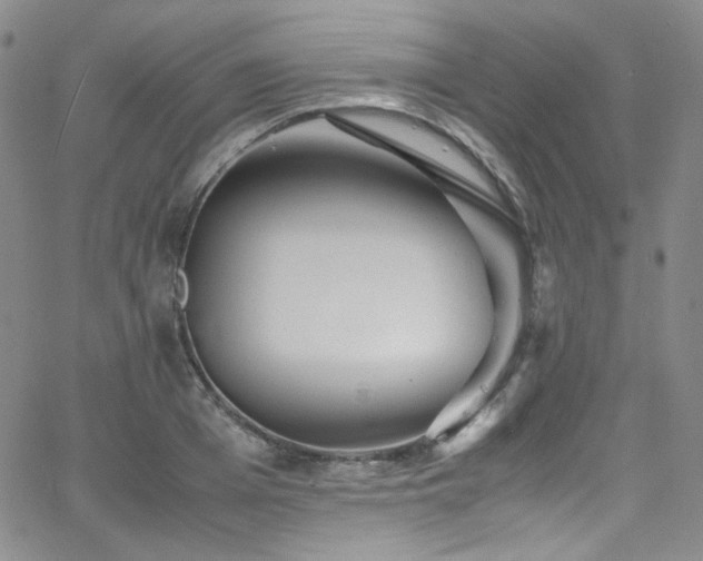 X0000062630985200512211224