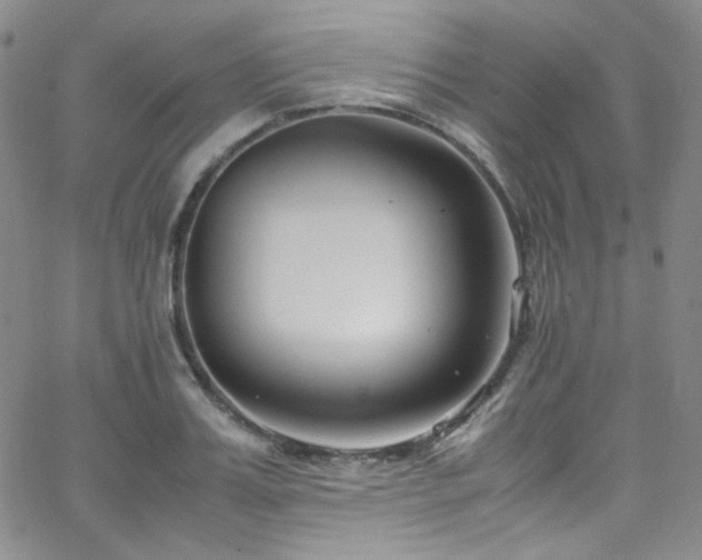 X0000062630987200512211224