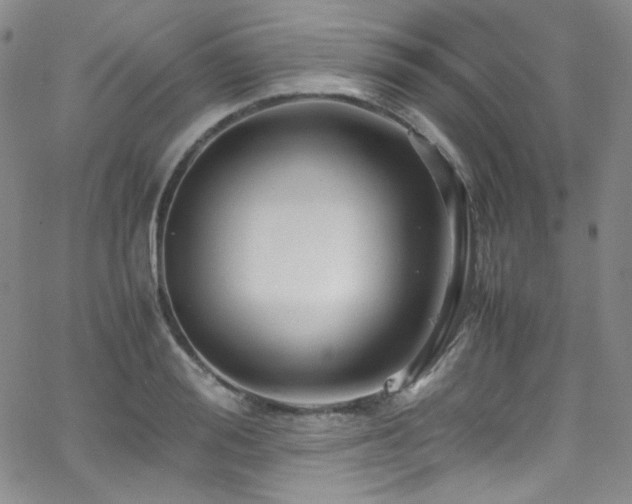 X0000062630988200512211224