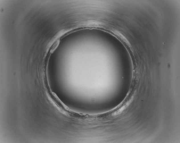 X0000062630989200512211224