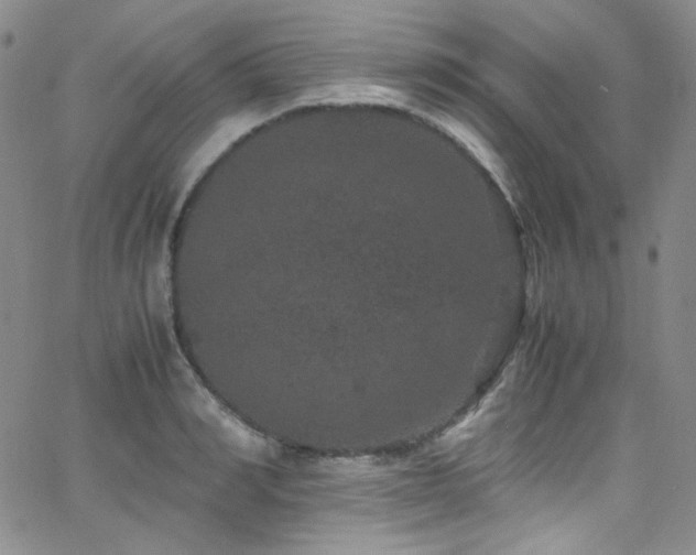 X0000062630990200512211224