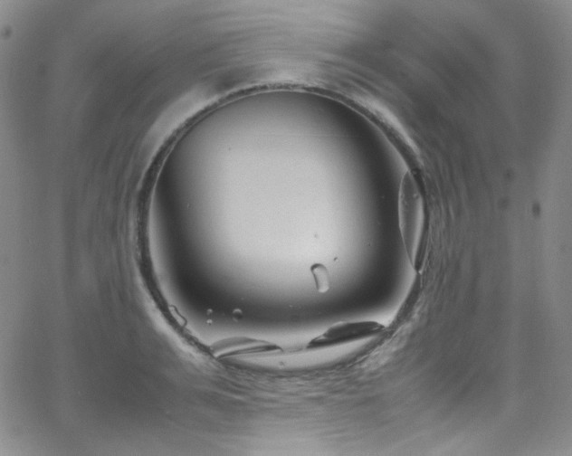 X0000062630991200512211224