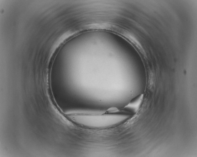 X0000062630992200512211224