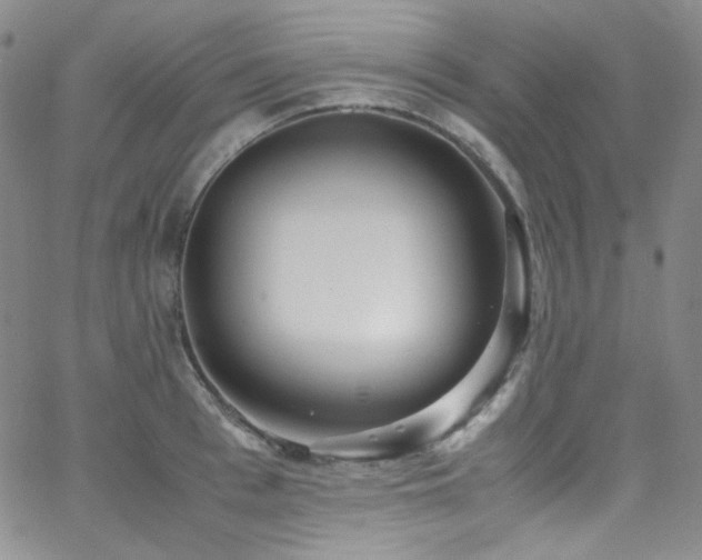 X0000062630993200512211224