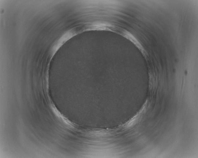 X0000062630994200512211224