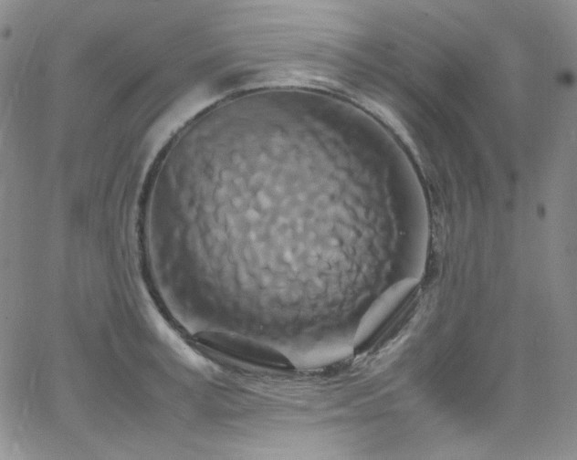 X0000062630995200512211224