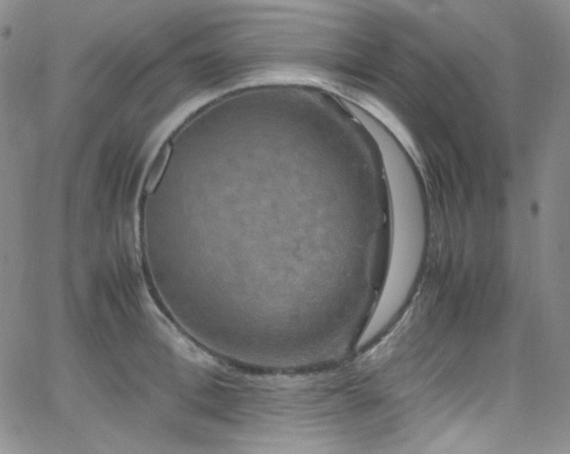 X0000062630996200512211224