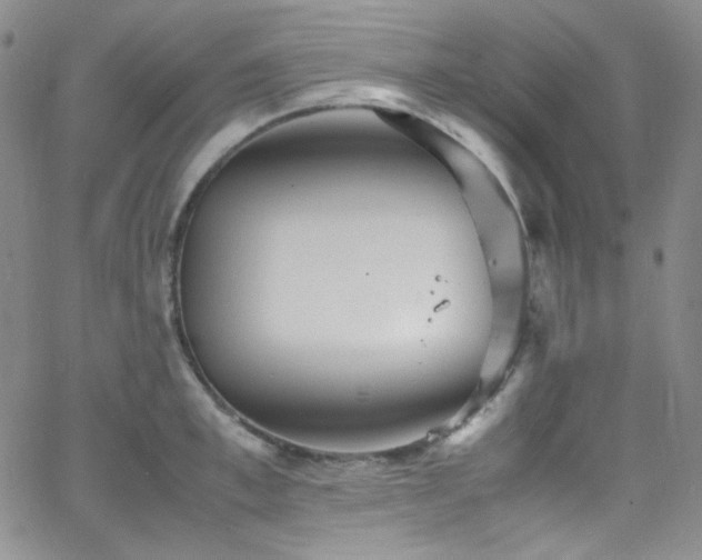 X0000062630997200512211224