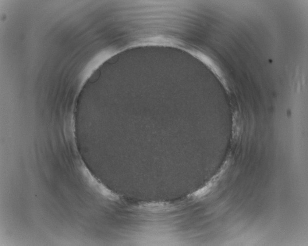 X0000062630998200512211224