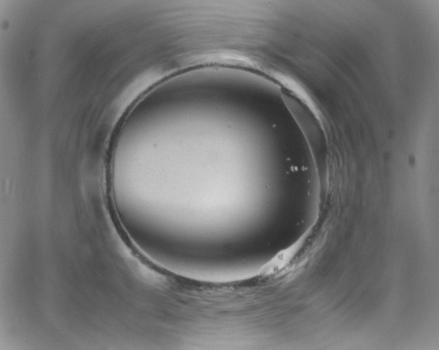 X0000062630999200512211224