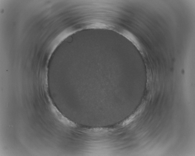 X0000062631000200512211224