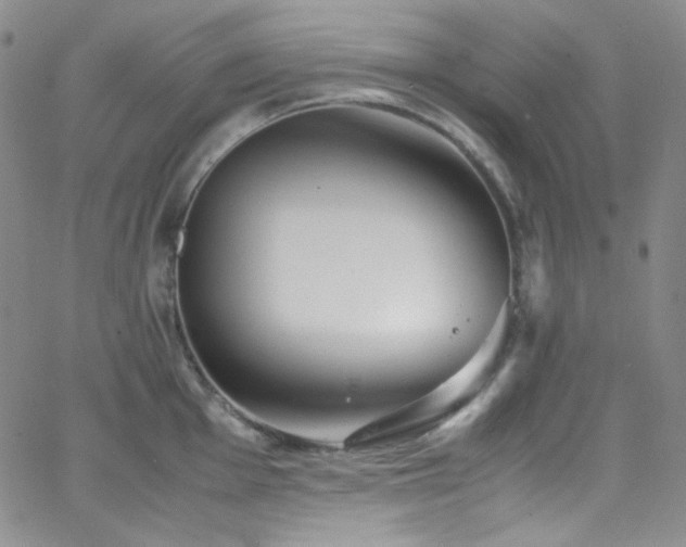 X0000062631001200512211224