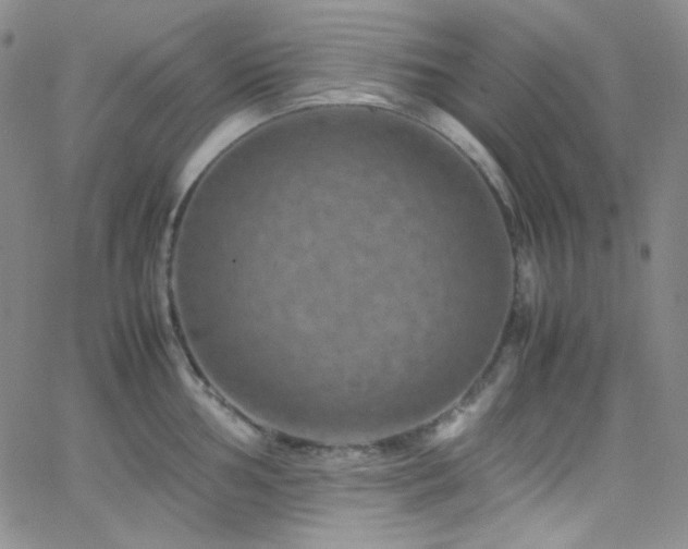 X0000062631002200512211224