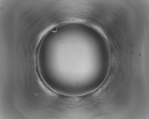 X0000062631003200512211224