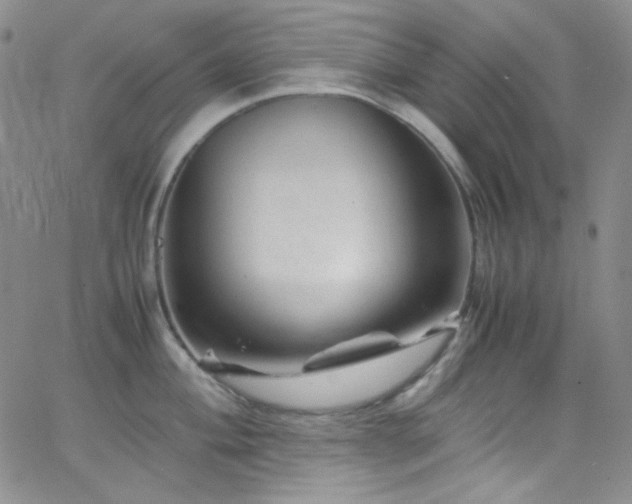 X0000062631004200512211224