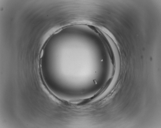 X0000062631005200512211224