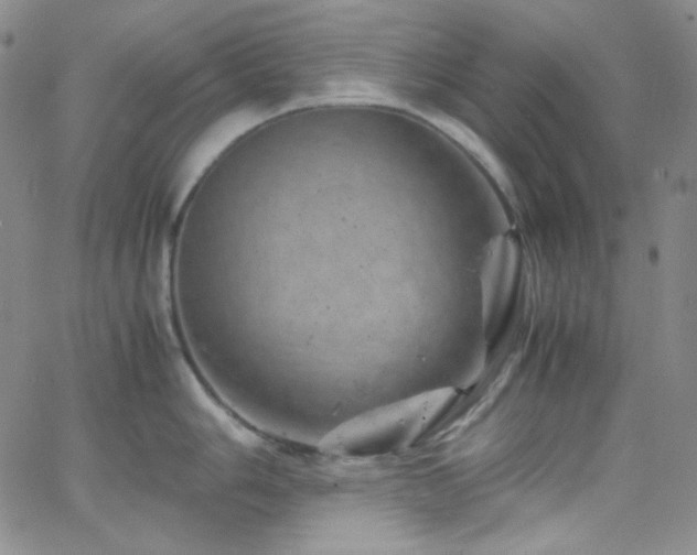 X0000062631006200512211224