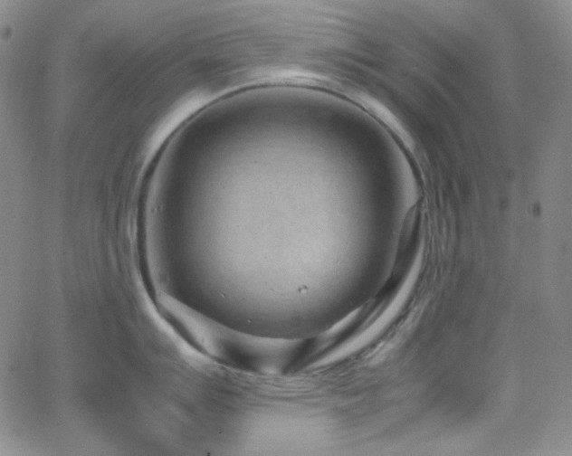 X0000062631007200512211224