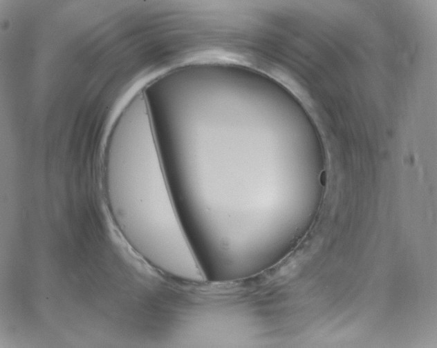 X0000062631008200512211224