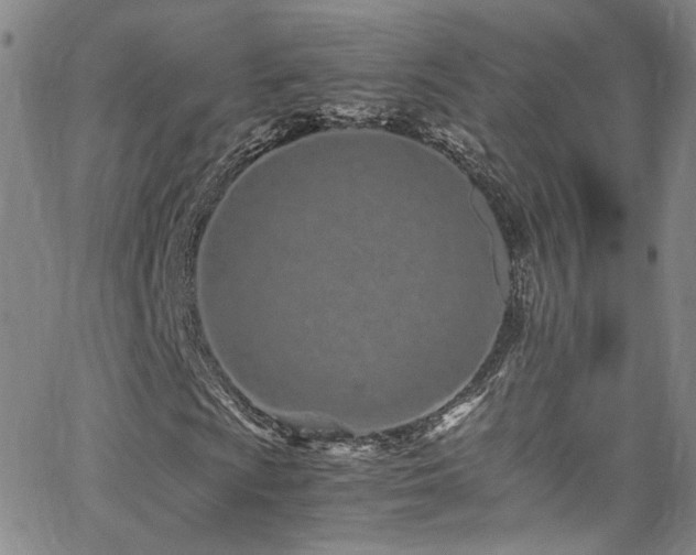 X0000062631009200512211223