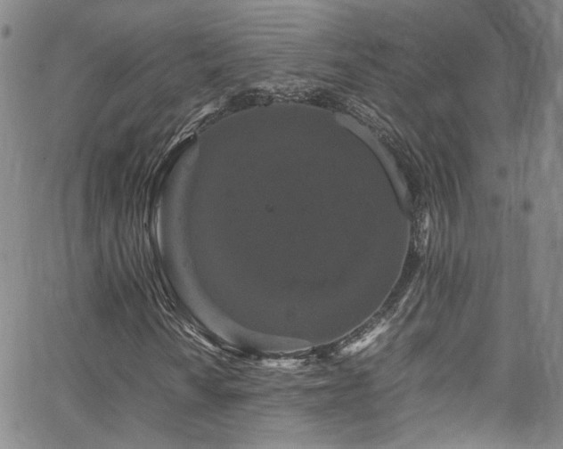 X0000062631010200512211223