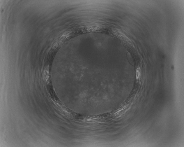 X0000062631011200512211223