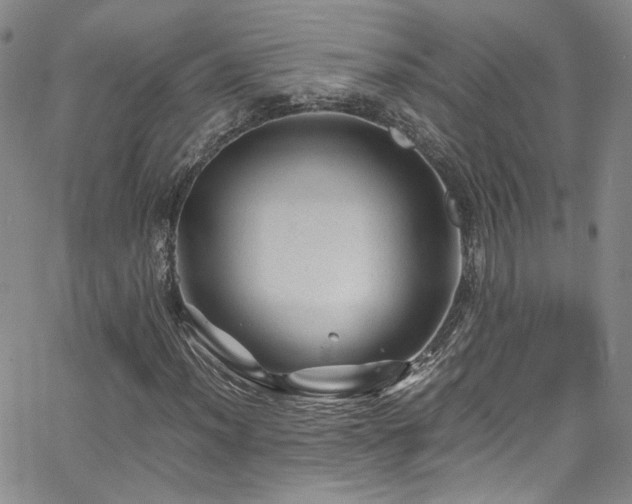 X0000062631012200512211223