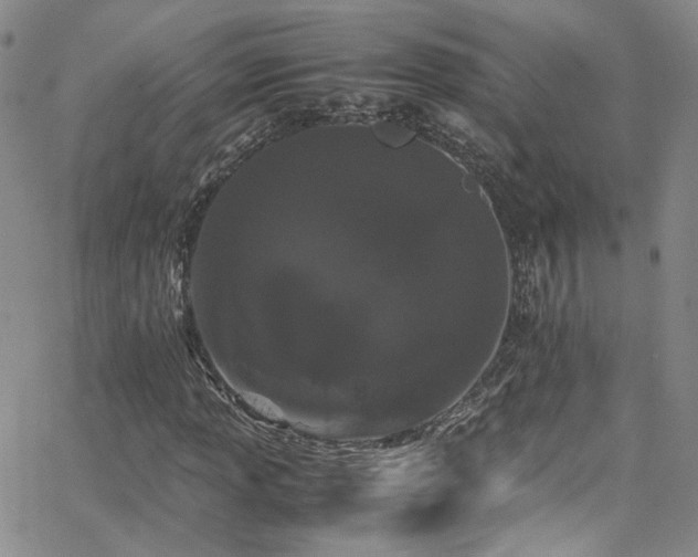 X0000062631013200512211223