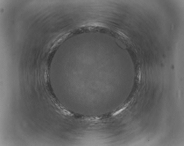 X0000062631014200512211223