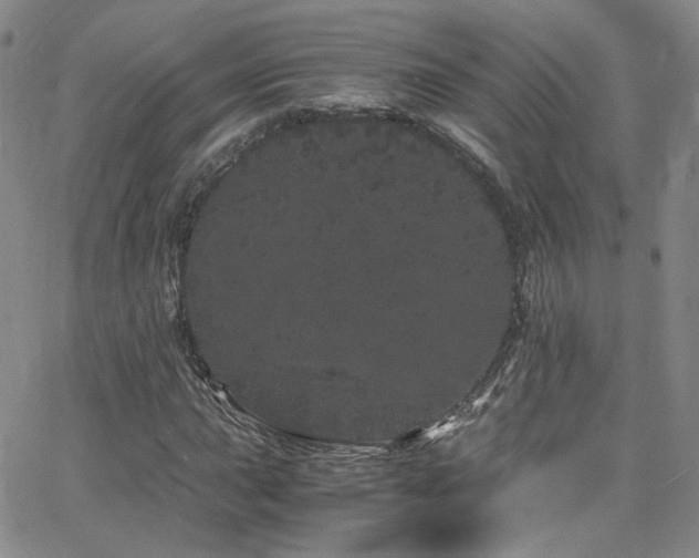 X0000062631015200512211223