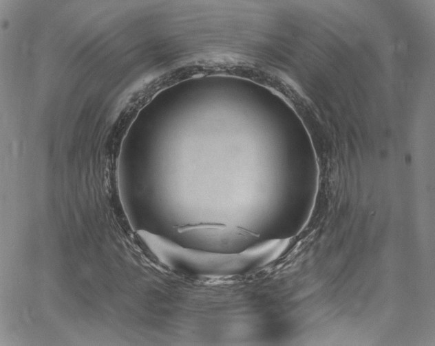 X0000062631016200512211223