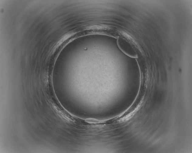 X0000062631017200512211223