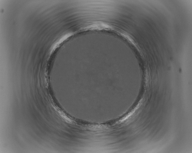 X0000062631018200512211223