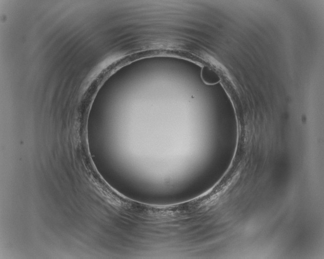 X0000062631019200512211223