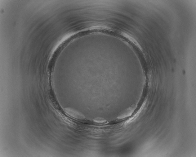 X0000062631021200512211223