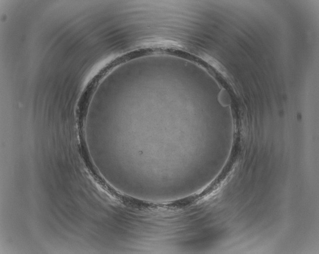 X0000062631022200512211223