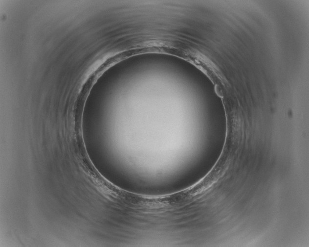 X0000062631023200512211223