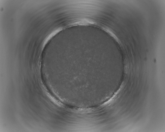 X0000062631026200512211223