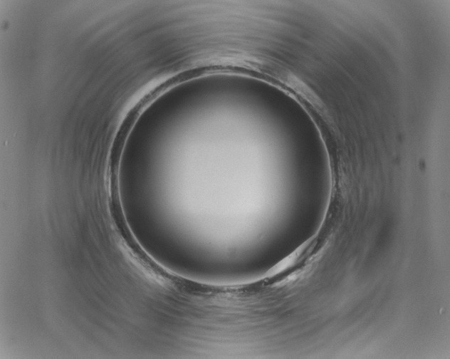 X0000062631028200512211223