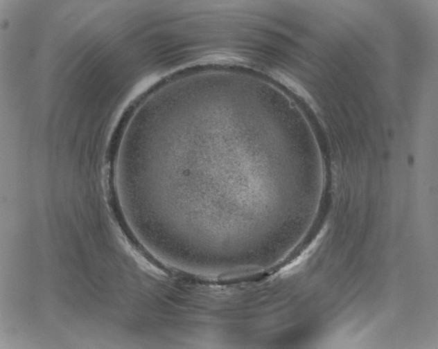 X0000062631029200512211223