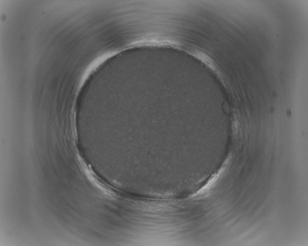 X0000062631030200512211223