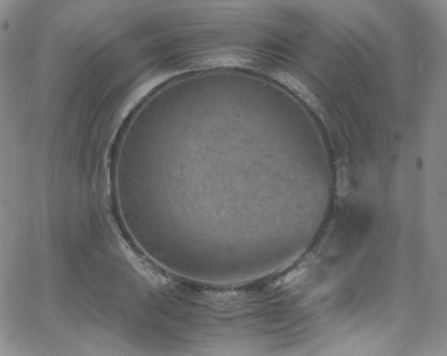 X0000062631031200512211224