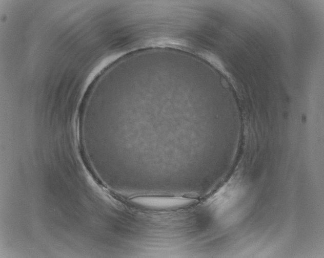 X0000062631032200512211224