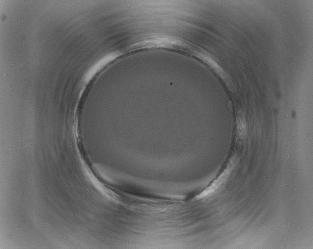 X0000062631034200512211224